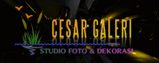 galeri Cesar